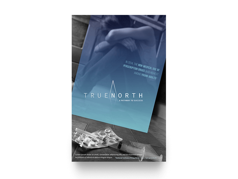 True North Poster Design